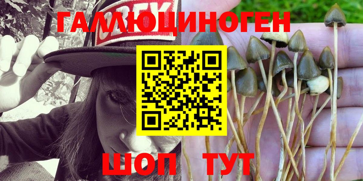 Галлюциногенные грибы GOLDEN TEACHER Ачинск