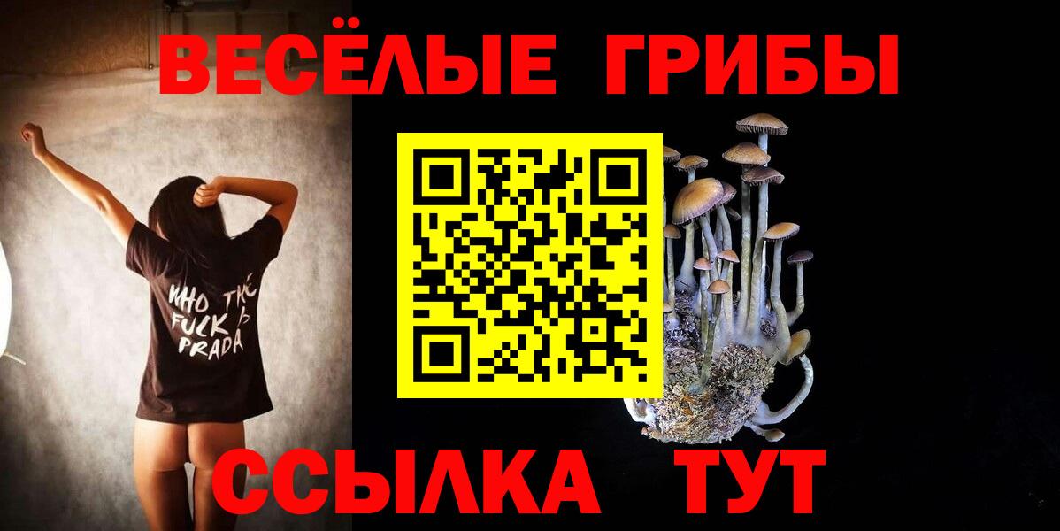 Ачинск  Галлюциногенные грибы прущие грибы  Вход с VPN 